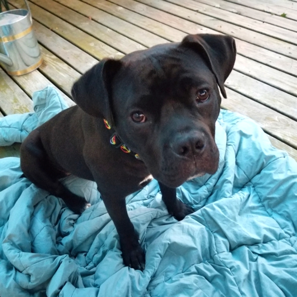 Matilda Loves Offers!